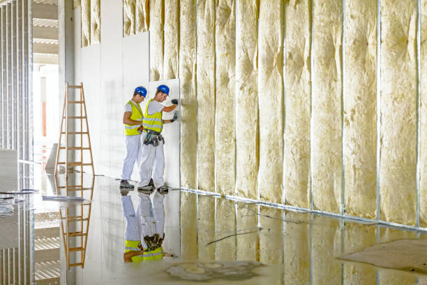 Best Types of Insulation in Midway North, TX